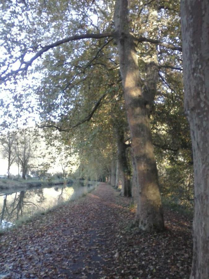 Gite 3 Etoiles "Entre Sources Et Riviere" Besancon Vaire-le-Grand Exteriör bild